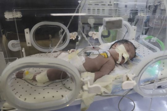 vrefos gaza